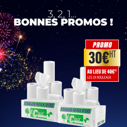 2 Cartons de 12 Rouleaux d'essuie-tout ultra compact