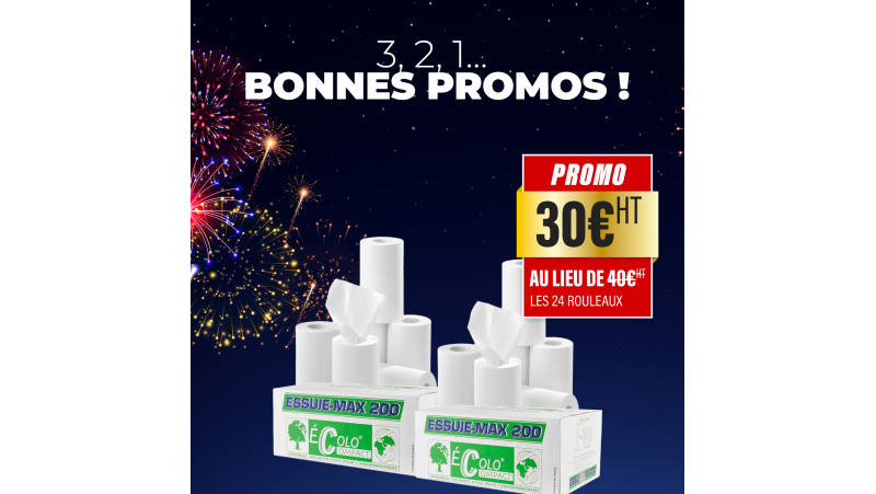 2 Cartons de 12 Rouleaux d'essuie-tout ultra compact